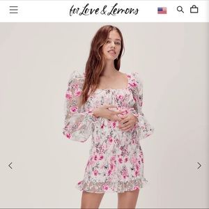 For Love and Lemons Lovell Burnout Smocked Mini Dress size S - Rose